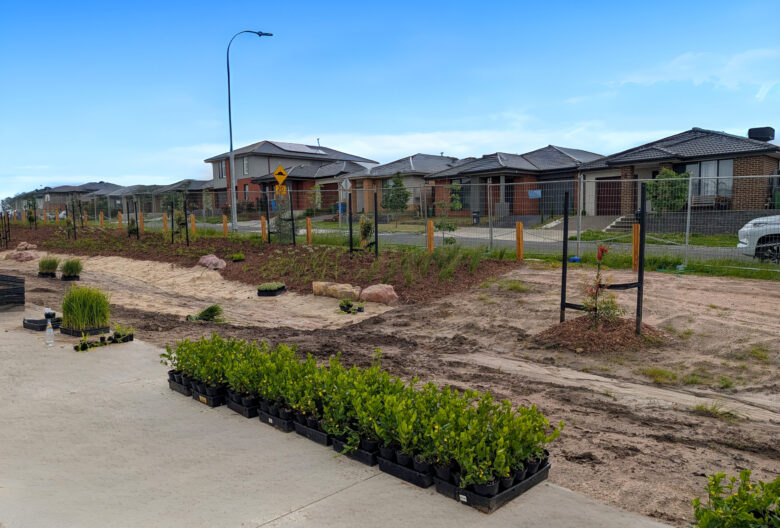 Riverfield Construction Update — November Progress